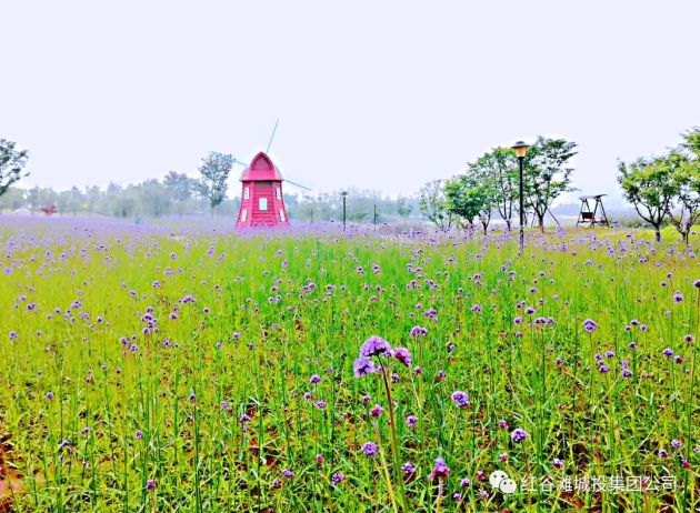 QQ浏览器截屏未命名2.png QQ浏览器截屏未命名2.png