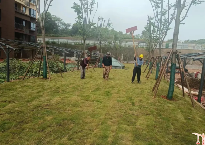 C:\Users\Administrator\Desktop\QQ浏览器截图20240507095447.png C:\Users\Administrator\Desktop\QQ浏览器截图20240507095447.png